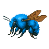Blue bumblebee left