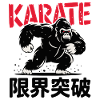 EXÉCUTION D’UNE POSITION DE KARATÉ