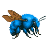 Blue bumblebee right