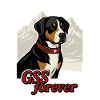 GSS forever Mountain