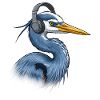 Heron with headphones