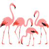 Vivid Flamingo Meadow Illustration