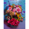 Fête d’anniversaire guépard