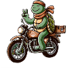 Enduro Turtle Peace Motard