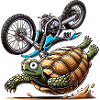 EnduroTurtle Motorcycle Adventure