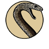 Mambas Mamba