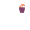 Fox in breast pocket