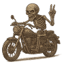 biker 3