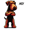 Pas d’Airedale Terrier Airedales Airedalebesitzer