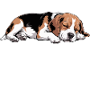 Maman Beagle