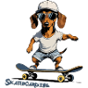 Skateboarding, Skateboarding