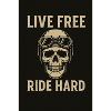 Lifestyle with skull motif and glasses