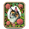 Dilué Calico Maine Coon & Fleurs