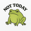 Funny frog with statement text