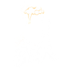 Beer Mug
