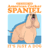 Cocker américain Spaniel chien cadeau