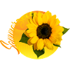 Soleil Fleur Heure d’été