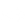 Tuna