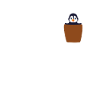 Penguin in breast pocket