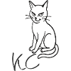 Cat KC