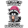 Nachtschicht Nachtdienst Krankenschwester Waschbär