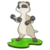 Meerkat Bodybuilder Haltères Musculation