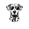 Dalmatian Saying Funny Dalmatian Gift