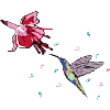 Hummingbird