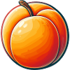 Apricot