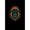 RayPay Apex
