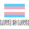 Trans love is love