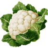 Cauliflower