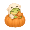 Halloween Frog Costume Gift