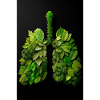 Green Lungs of Nature