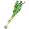 Leek