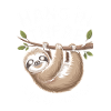 Hang in there funny sloth