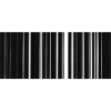 LINES