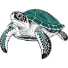 Schildkröte
