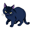Grim Black Cat
