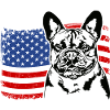 Bouledogue français Drapeau américain Wilsigns