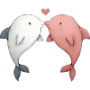 Dolphin Couple Boyfriend Girlfriend