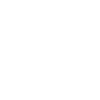 Feathered Freedom Bird Flight Design
