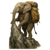 Elephant Hiking