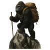 Gorilla Hiking