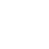 Star-Spangled Skull Graphic Design