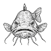 Gloomy catfish fish expression Brombachsee