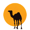 Dromedary camel silhouette