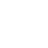 No Disgrace, Just Bass