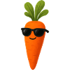Carrot Comic