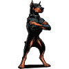 Doberman Doberman Owner Doberman Lovers
